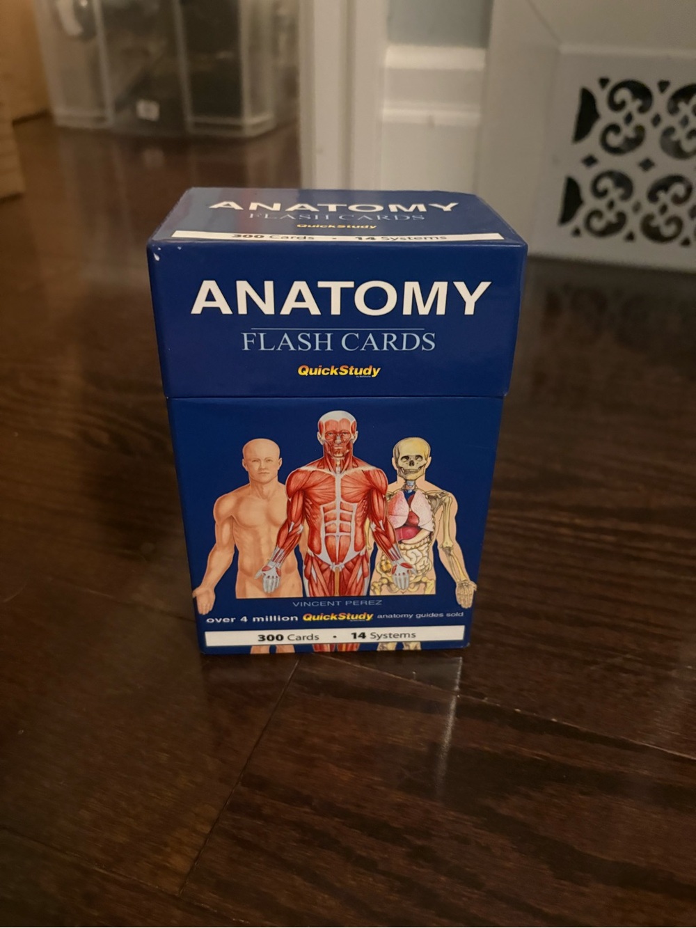 Anatomy Flash Cards - Blue